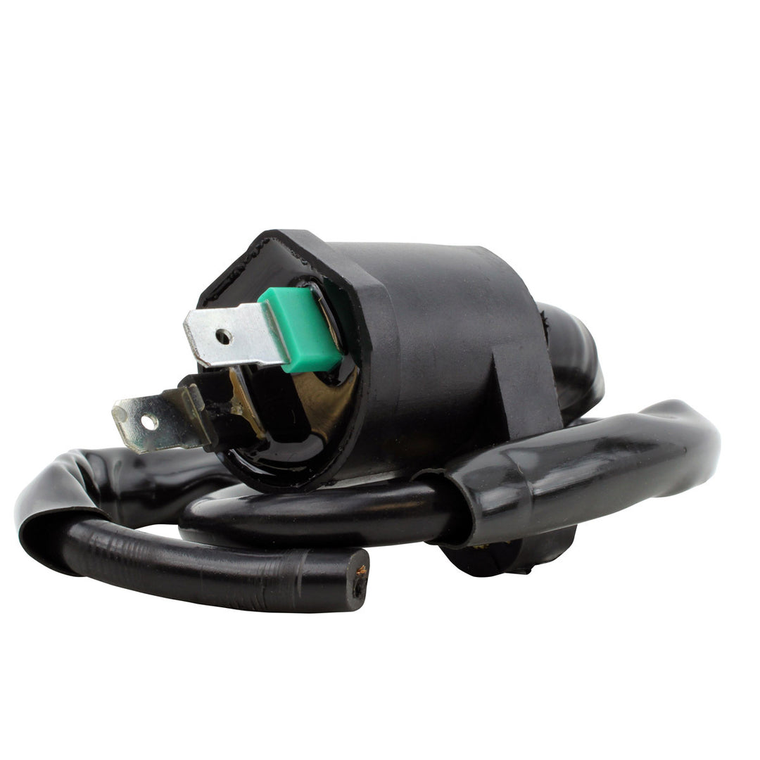 RM Stator External Ignition Coils