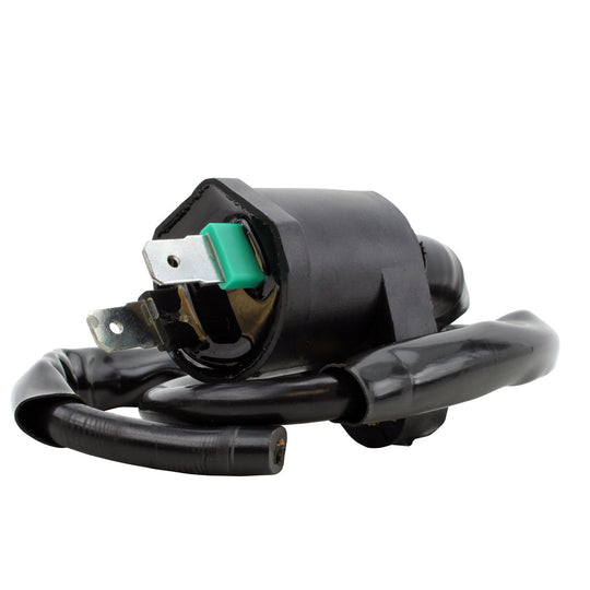 RM Stator External Ignition Coils