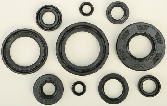 Vertex Engine Oil Seal Kit 822172