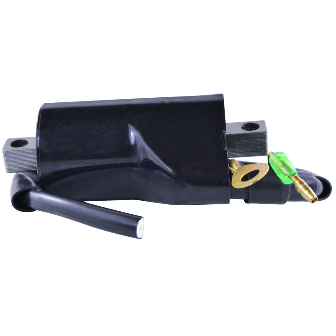 RM Stator External Ignition Coils RM06056