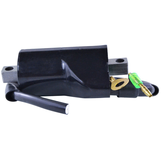 RM Stator External Ignition Coils RM06056