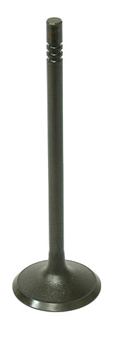 Namura Intake Valve