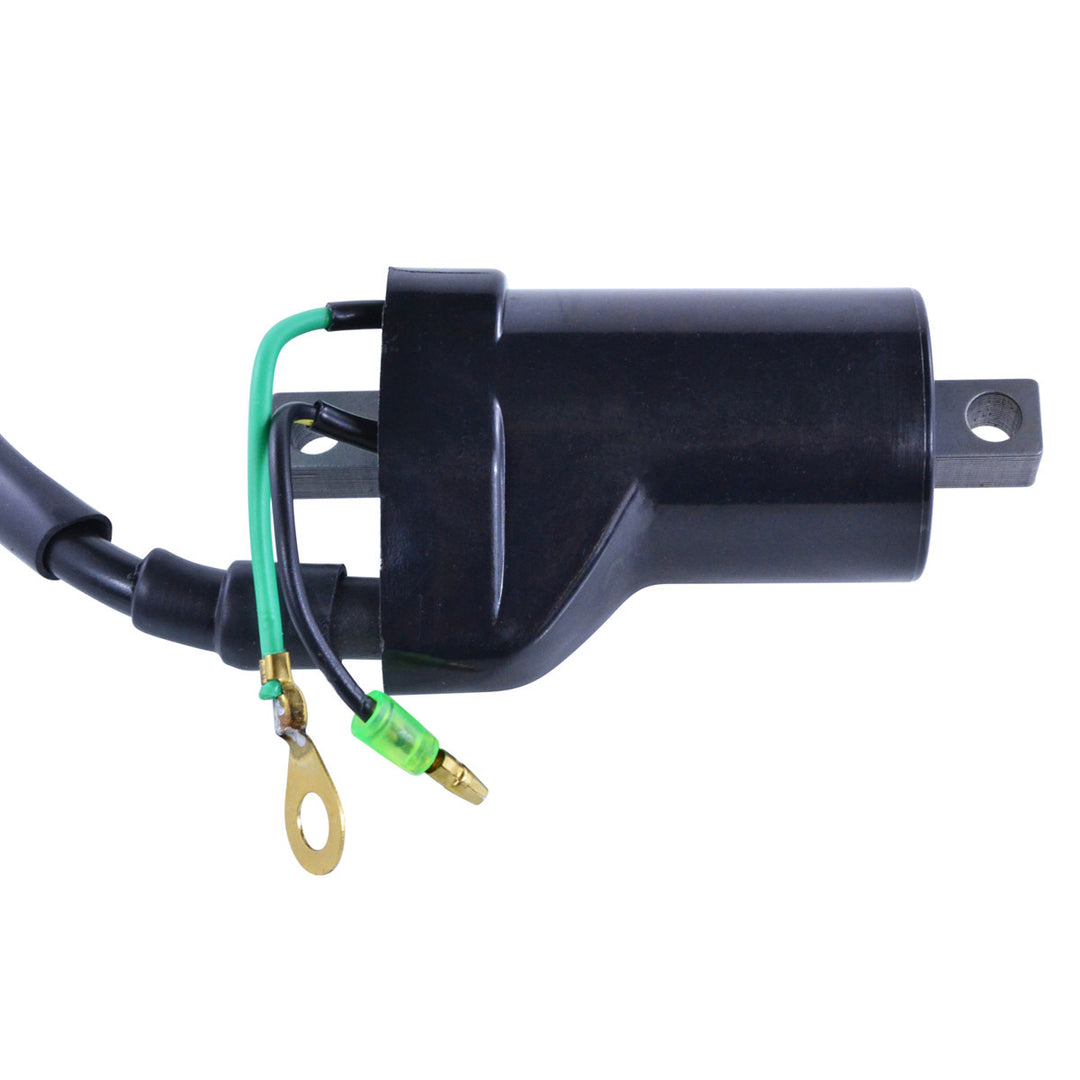 RM Stator External Ignition Coils
