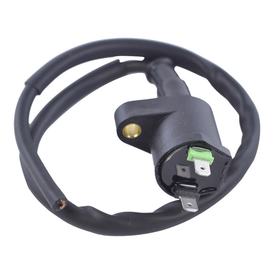 RM Stator External Ignition Coils RM06025