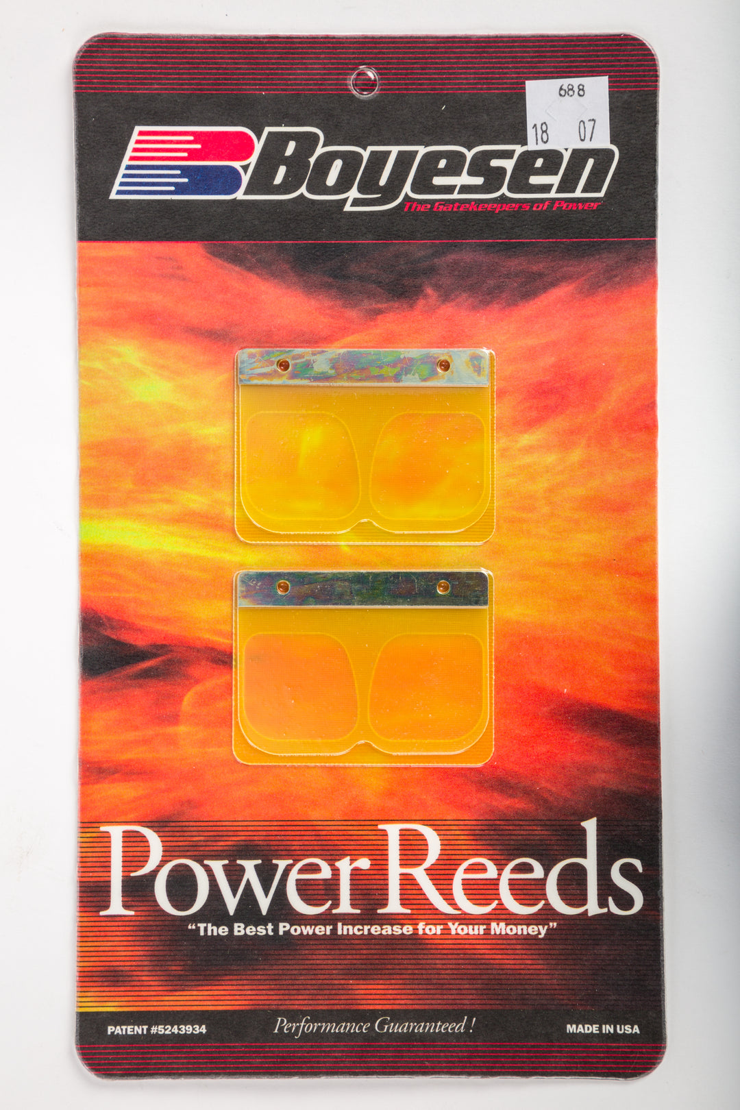 Boyesen Dual Stage Power Reeds Dura Flex with Rev Plates