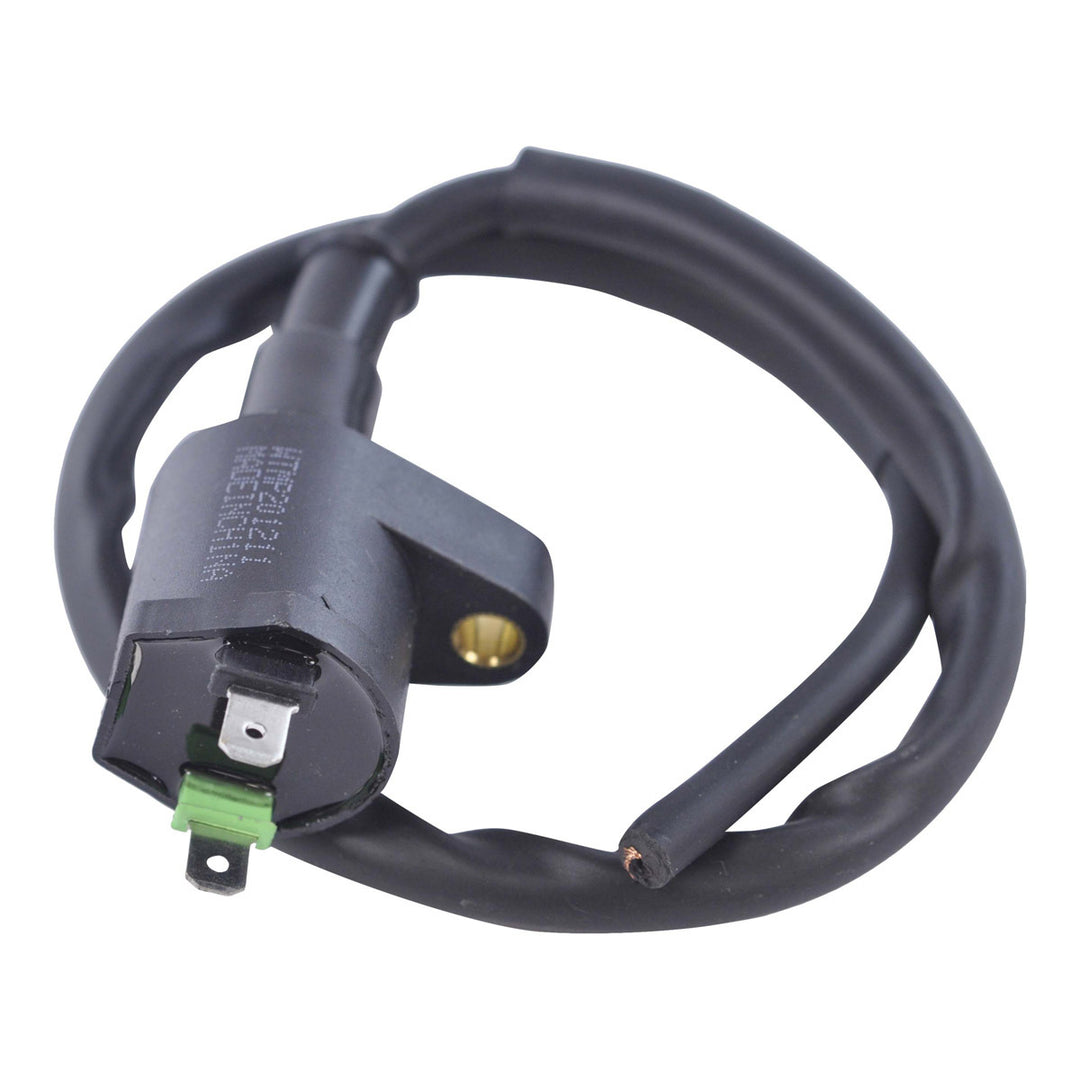 RM Stator External Ignition Coils