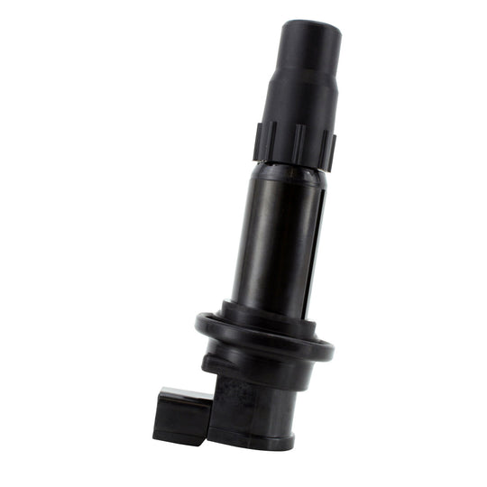 RM Stator Ignition Stick Cap Coils
