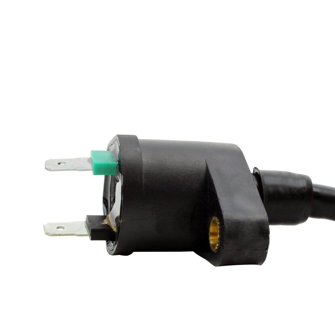 RM Stator External Ignition Coils
