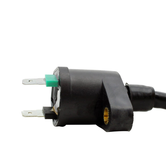 RM Stator External Ignition Coils