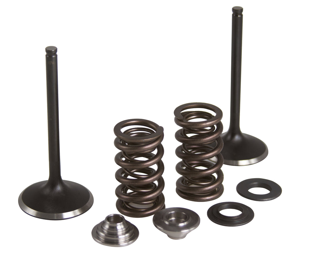 KPMI Intake Valve Spring Kit
