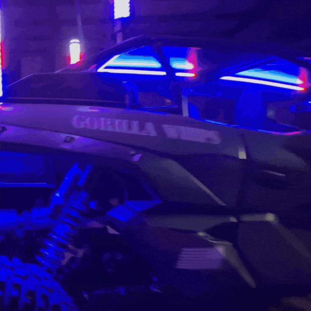 Chunky Monkey Apex Single - Full Vehicle Lighting Packages  (15% Off Rock Lights & Strips W/ LED Whips)