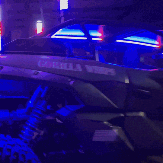Chunky Monkey Apex Single - Full Vehicle Lighting Packages  (15% Off Rock Lights & Strips W/ LED Whips)