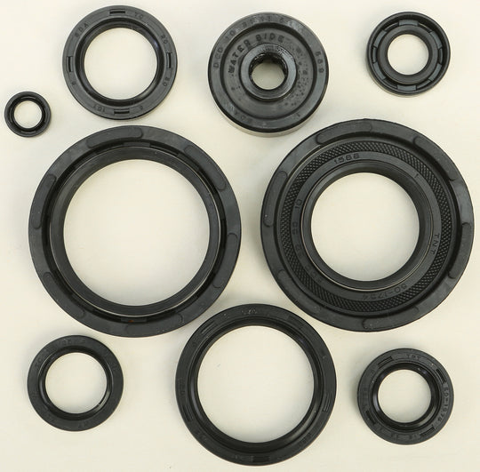 Vertex Engine Oil Seal Kit 822221