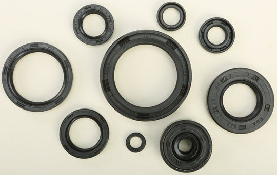 Vertex Engine Oil Seal Kit 822117