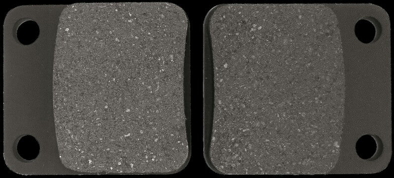 EPI 1999-2002 Kawasaki 300-400 Prairie Brake Pads - Front