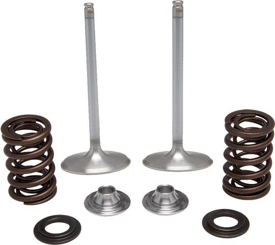 KPMI Intake Valve Spring Kit