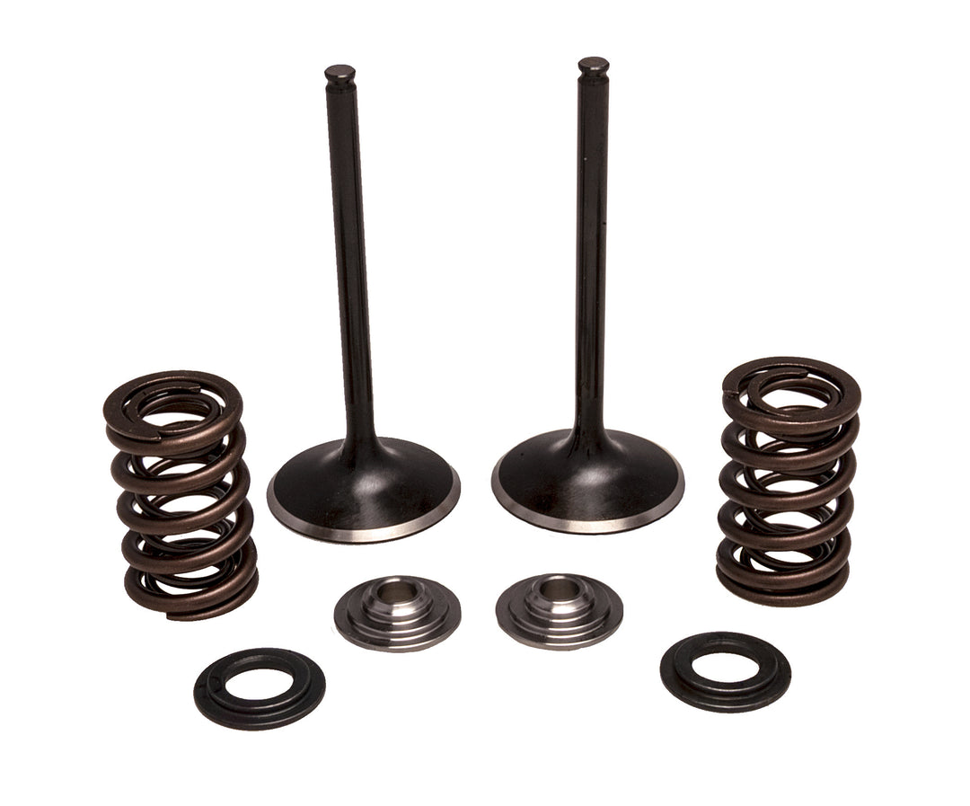 KPMI Stainless Intake Valve and Spring Kit
