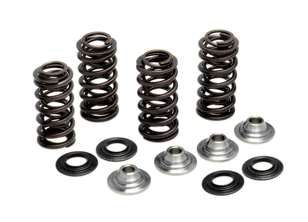 KPMI Racing Valve Spring Kit 80-82300