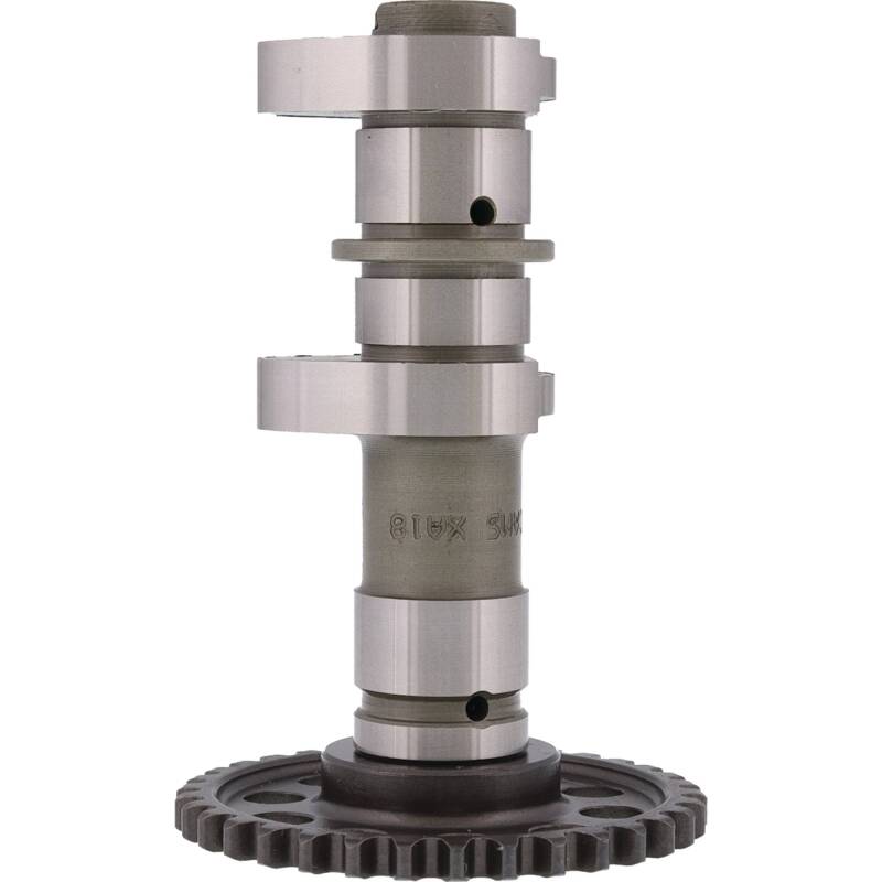 Hot Cams 04/06 - 08 400 DVX/00 - 04 DR - Z 400 Intake Camshaft - Stage 2 - Dune Goons