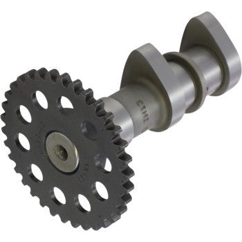 Hot Cams Stage 1 Intake Camshaft – DR - Z400, LT - Z400, KFX400, DVX400 - Dune Goons