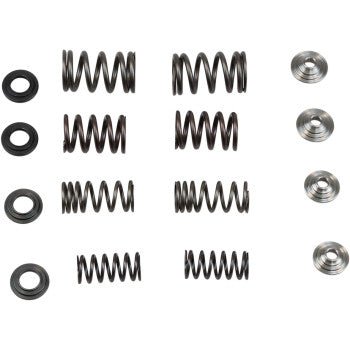 KPMI Lightweight Racing Valve Spring Kit – CRF450R 2009–2012 - Dune Goons