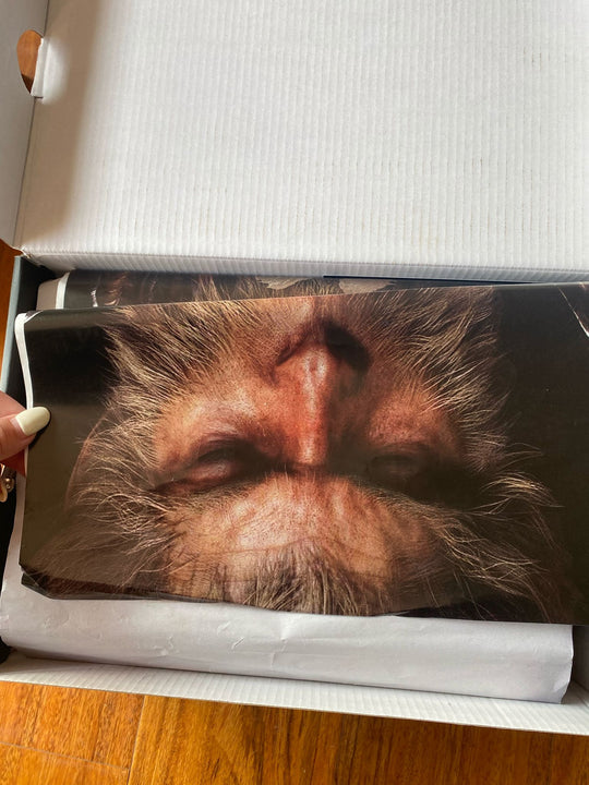 Nike SB Dunk Low White/Gum DV2433 - 109 – Clean Lines. Skate - Ready Soul. - Dune Goons