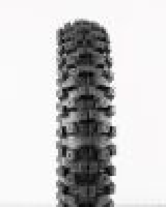 ProTaper MXT 04 Front Tire - 60/100 - 12 - Motocross Off - Road - Dune Goons