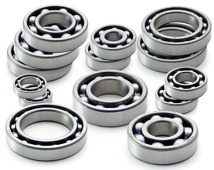 Transmission Bearing Kit - 2019 + Ranger - Dune Goons