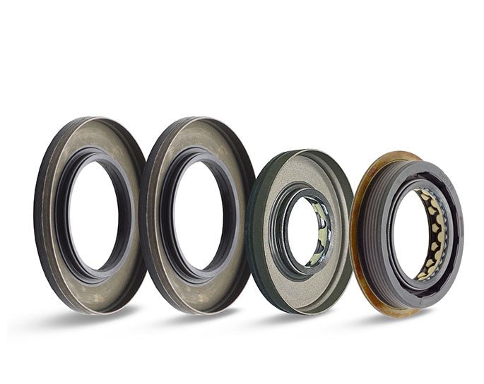 Transmission Bearing & Seal Combo - 2019 - 2020 Ranger - Dune Goons