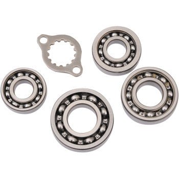 TRX400EX / TRX400X Transmission Bearing Kit | Hot Rods TBK0012 - Dune Goons